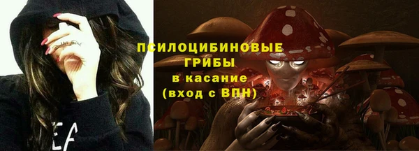 apvp Алексин