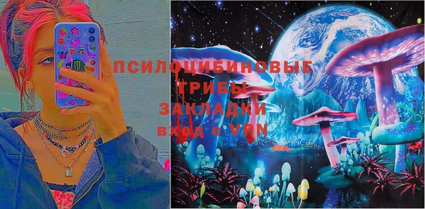 гидропоника Алексеевка